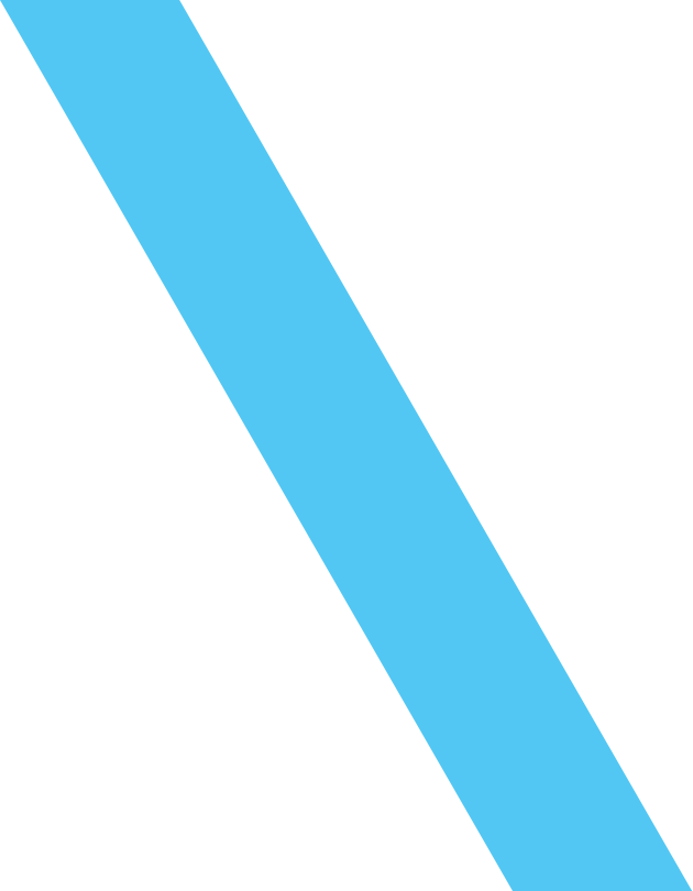 banner-shape-1